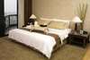 Emporium Suites Hotel 